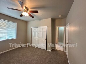 2845 Willow Tree Ln in Fort Collins, CO - Building Photo - Building Photo