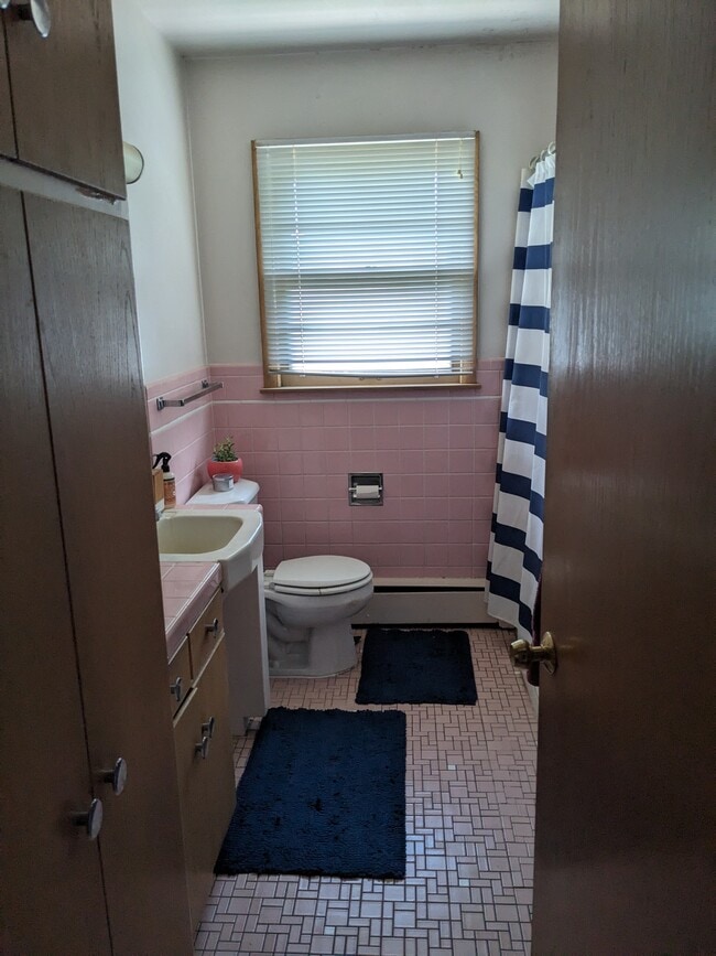 930 S Brooks St, Unit 3 in Madison, WI - Building Photo - Building Photo