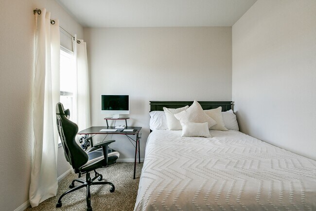 24967 Goldoni Dr in Katy, TX - Building Photo - Building Photo