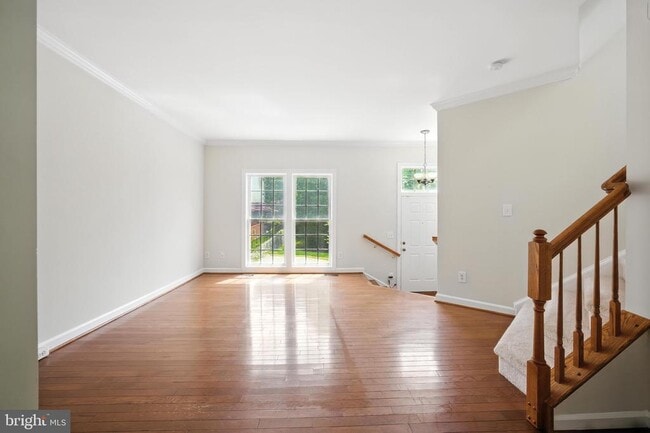 6696 Debra Lu Way in Springfield, VA - Building Photo - Building Photo