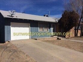 4020 E Douglas St in Farmington, NM - Building Photo