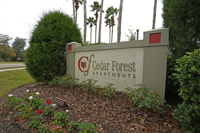 Cedar Forest Apartments in Tampa, FL - Building Photo - Building Photo