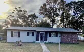 7322 Pinehurst Dr in Spring Hill, FL - Building Photo