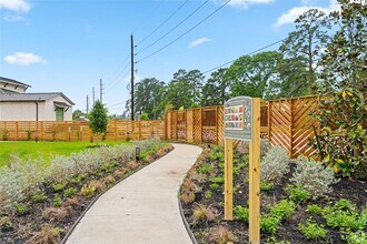 13810 Bee Flower Ln in Cypress, TX - Building Photo - Building Photo