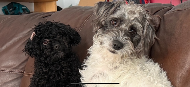 property at 814 Beechwood Ave