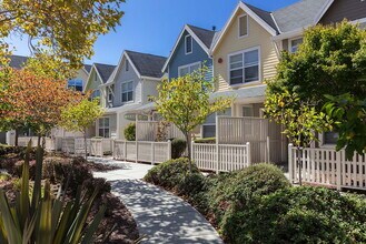 Chestnut Street in Santa Cruz, CA - Building Photo - Building Photo