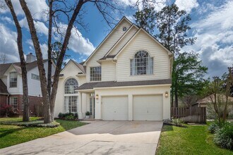 19 Tender Violet Pl in The Woodlands, TX - Building Photo - Building Photo