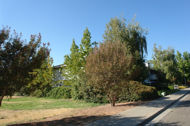 Birchwood Terrace in Auburn, CA - Building Photo - Building Photo