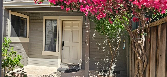 44012 Cerro Ct in Fremont, CA - Foto de edificio - Building Photo