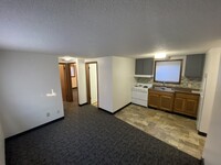 915 4th St SE, Unit 2 in Rochester, MN - Building Photo - Building Photo