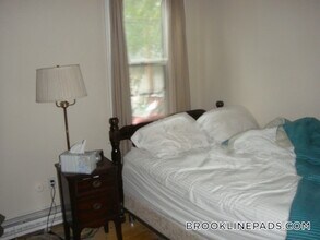 47 Cameron St, Unit 1 in Brookline, MA - Building Photo - Building Photo