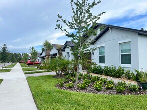 17238 Tortoise Crown Blvd in Land O Lakes, FL - Building Photo - Building Photo