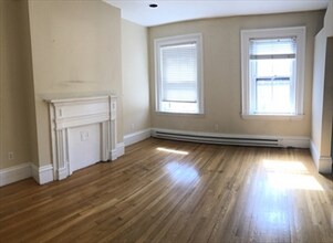 54 E Springfield St, Unit 3 in Boston, MA - Building Photo - Building Photo