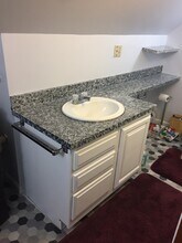 38 Janet Cir, Unit 38 in Shrewsbury, MA - Building Photo - Building Photo