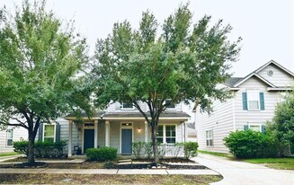 16747 Libson Falls Dr in Houston, TX - Building Photo