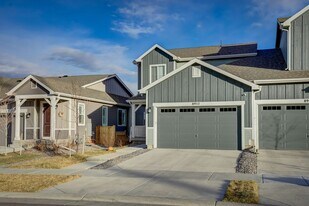 8952 Birch Run Ln in Parker, CO - Building Photo