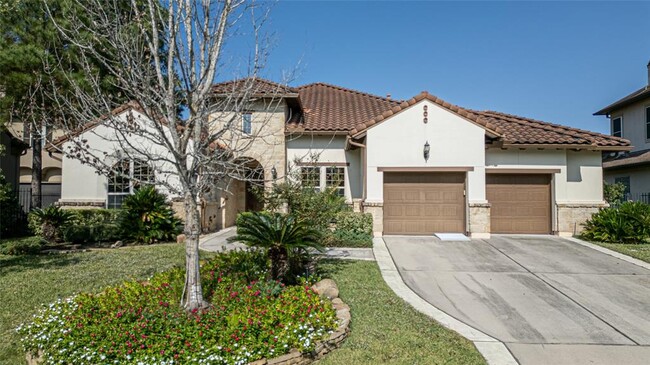 30 Freestone Stream Pl in Spring, TX - Foto de edificio - Building Photo