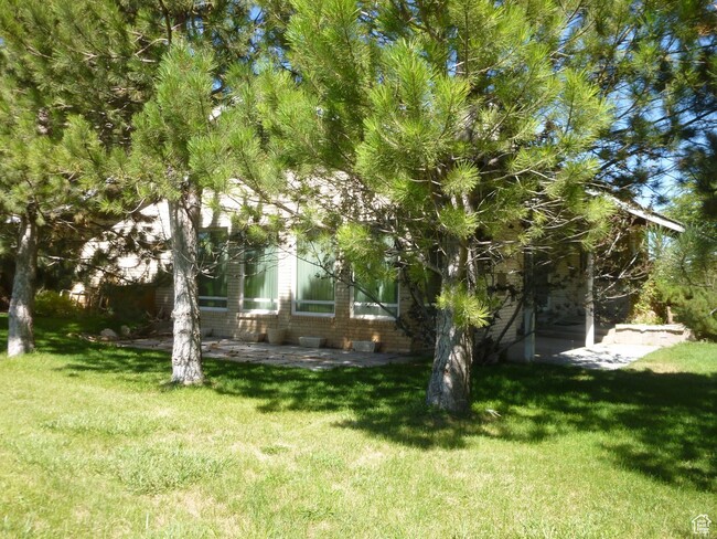 1425 S 1950 W in Payson, UT - Foto de edificio - Building Photo