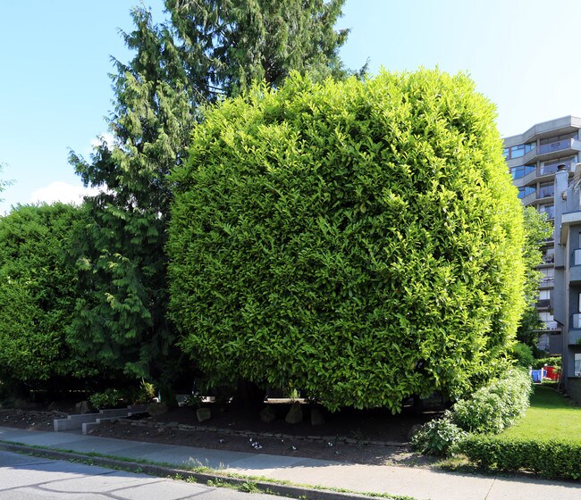 2428 W 2nd Ave in Vancouver, BC - Building Photo - Building Photo