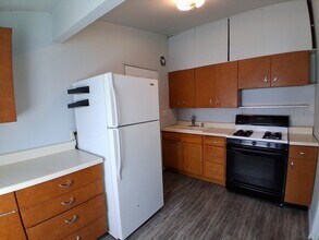 1207 Griggs St in Danville, IL - Building Photo - Building Photo