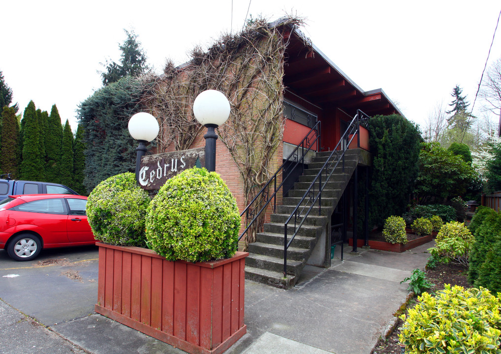 Cedrus Apartments in Seattle, WA - Foto de edificio