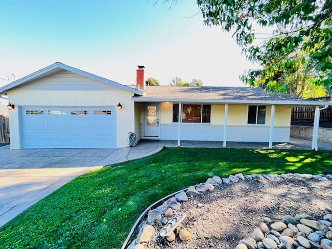 2223 Hillside Ct in Walnut Creek, CA - Building Photo - Building Photo