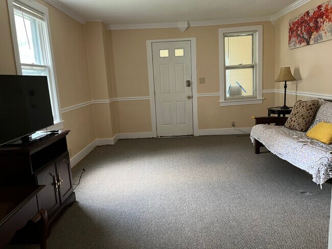 316 S Plain St in Ithaca, NY - Building Photo - Building Photo