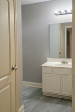 16703 Summer Cypress Ct in Cypress, TX - Building Photo - Building Photo