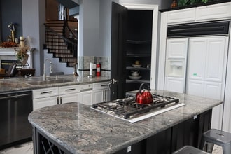 10561 Lieter Pl in Lone Tree, CO - Building Photo - Building Photo