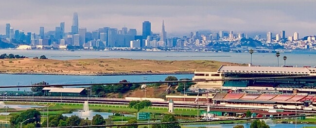 765 Gateview Ave in Albany, CA - Foto de edificio - Building Photo