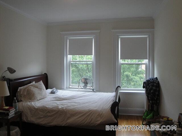 113 Kilsyth Rd in Boston, MA - Building Photo