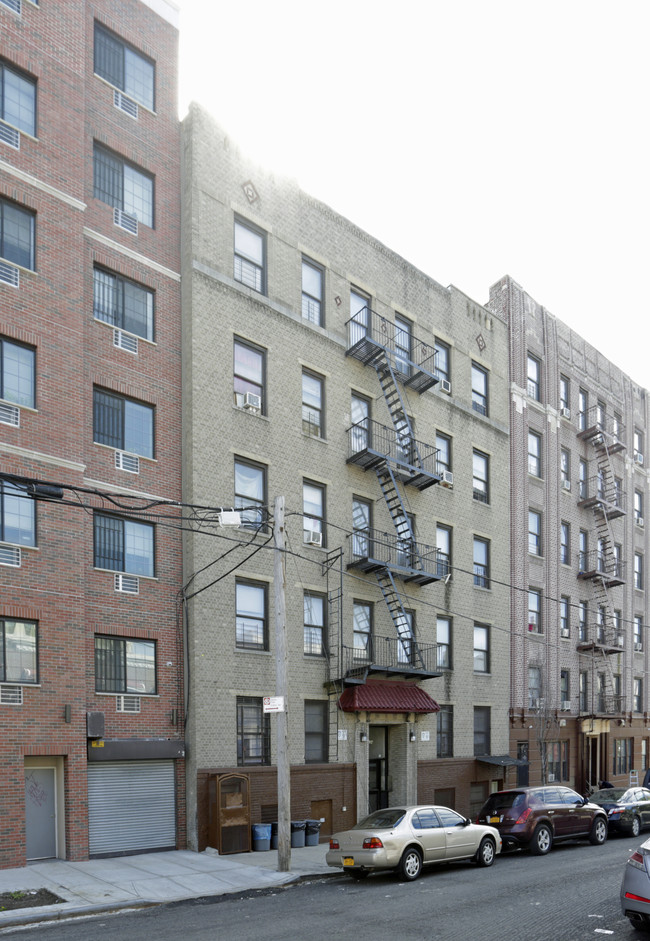 1684 Nelson Ave in Bronx, NY - Building Photo - Building Photo