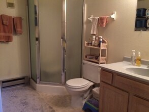 2828 Silverplume Dr in Fort Collins, CO - Building Photo - Building Photo