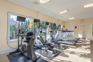 Forest Ridge on Terrell Mill