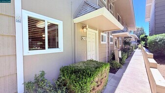 394 Ilo Ln in Danville, CA - Building Photo