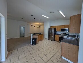 1048 Rosefaire Pl in Odessa, FL - Building Photo - Building Photo
