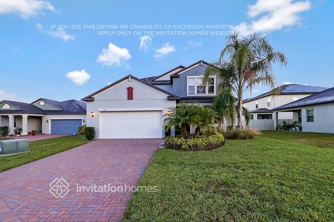 24860 Lambrusco Loop in Lutz, FL - Building Photo - Building Photo