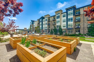 Heights at Interlocken in Broomfield, CO - Building Photo - Building Photo