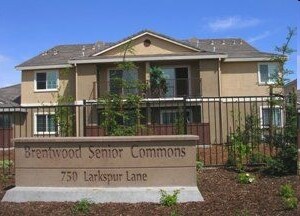 Brentwood Senior Commons in Brentwood, CA - Foto de edificio