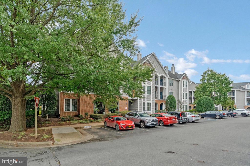 46580 Drysdale Terrace in Cascades, VA - Building Photo