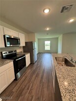 3805 NW 40th Ln in Cape Coral, FL - Building Photo