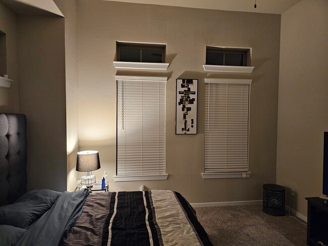 9443 Starlight Oak Dr in Missouri City, TX - Building Photo - Building Photo