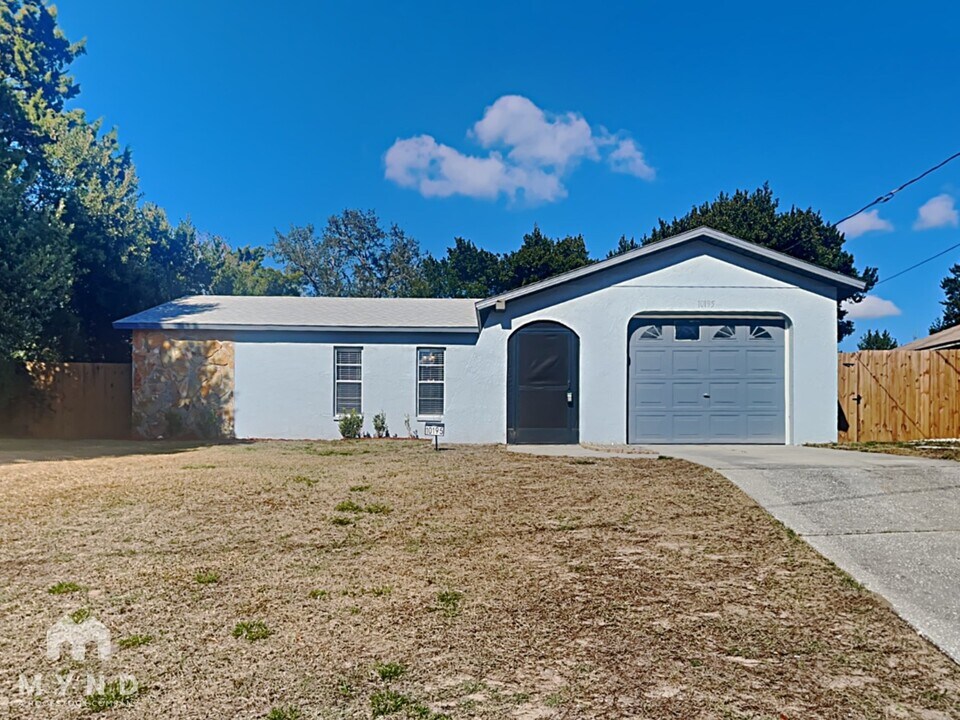 10195 Heathcliff St in Spring Hill, FL - Building Photo
