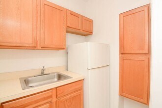 1169 N Dearborn St, Unit 504 in Chicago, IL - Building Photo - Building Photo