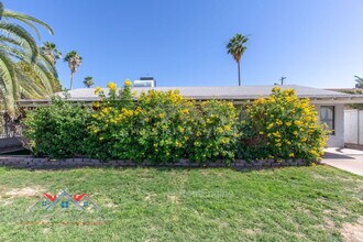 8119 E Amelia Ave in Scottsdale, AZ - Building Photo - Building Photo