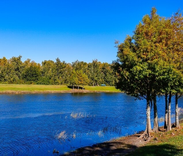 Casas Alquiler en Meadow Woods, FL