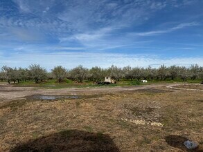 31195 Lone Tree Rd in Oakdale, CA - Foto de edificio - Building Photo