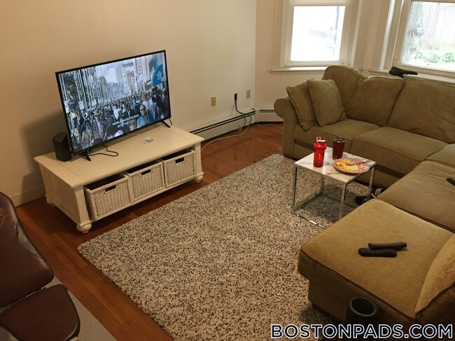 157 Thorndike St, Unit 1 in Brookline, MA - Foto de edificio - Building Photo