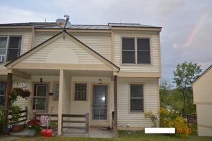 35 Potter Ln, Unit Lakeview Condo in Enfield, NH - Building Photo