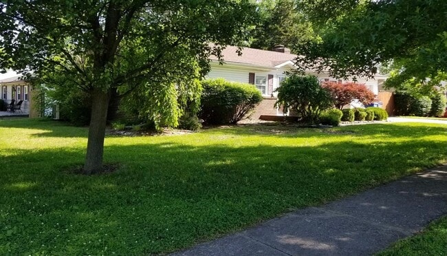 1345 Canonero Dr in Lexington, KY - Building Photo - Building Photo